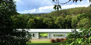 Screen Time Green Time