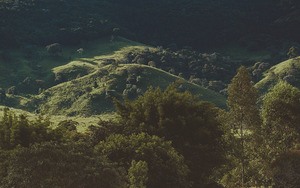 building-in-a-bushfire-zone-sunshine-coast